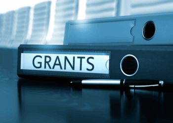 Business Grant for Entrepreneurs in Nigeria