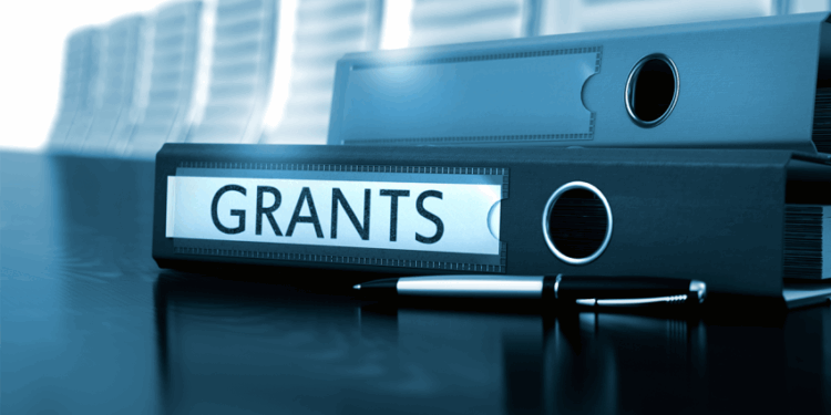 Business Grant for Entrepreneurs in Nigeria