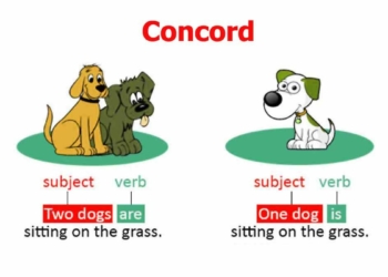 Types of Concord in English Grammar
