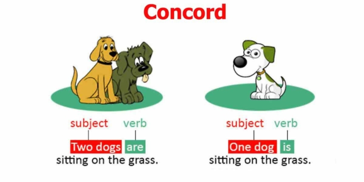 Types of Concord in English Grammar