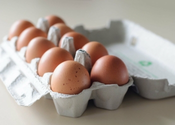 Is Garden Egg Good for Pregant Women?