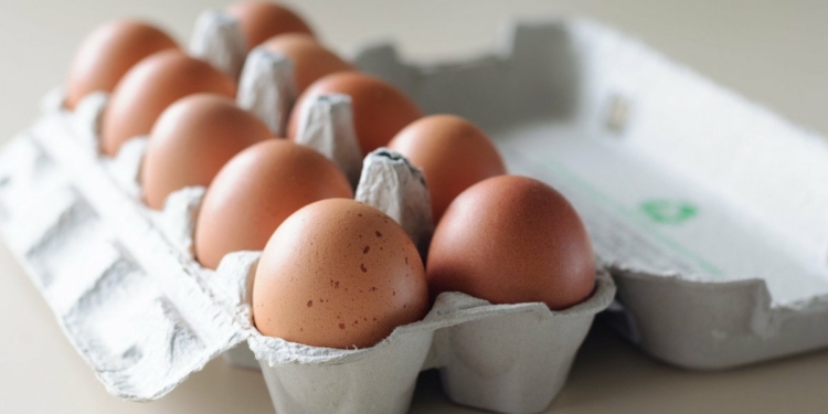 Is Garden Egg Good for Pregant Women?