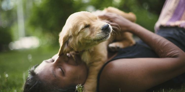 How to Care for a Puppy