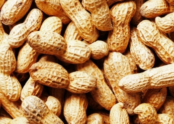 Botanical Name of Groundnut