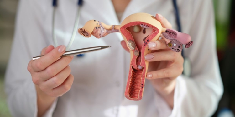 How To Become a Gynecologist