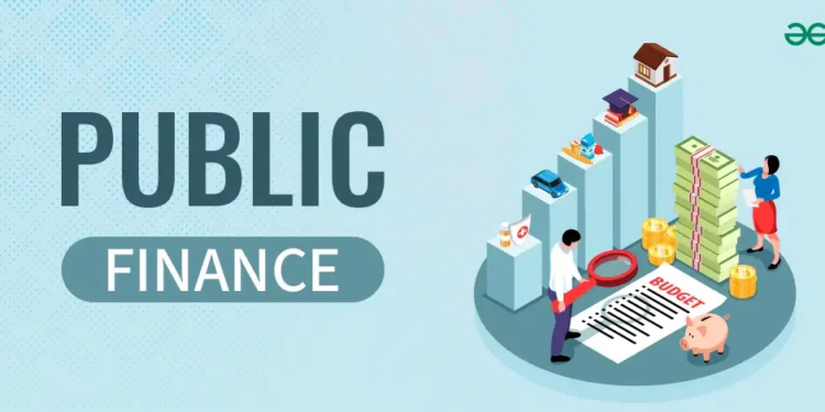 What is Public Finance