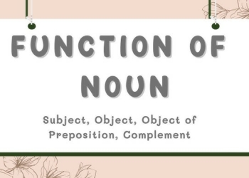 Functions of Noun