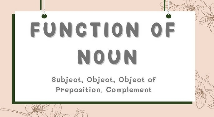 Functions of Noun