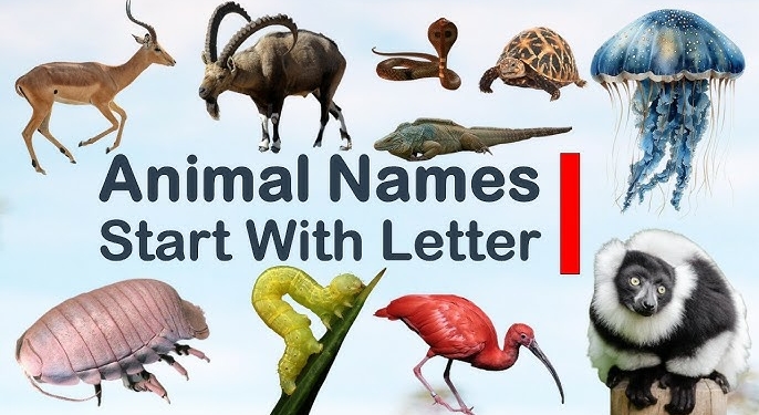 Animal that Starts With I
