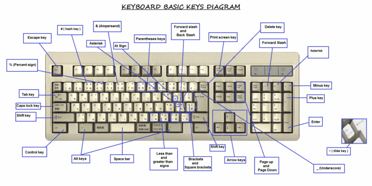 Parts of Computer Keyboard