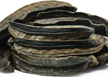 Amazing Healing Benefits of Prekese