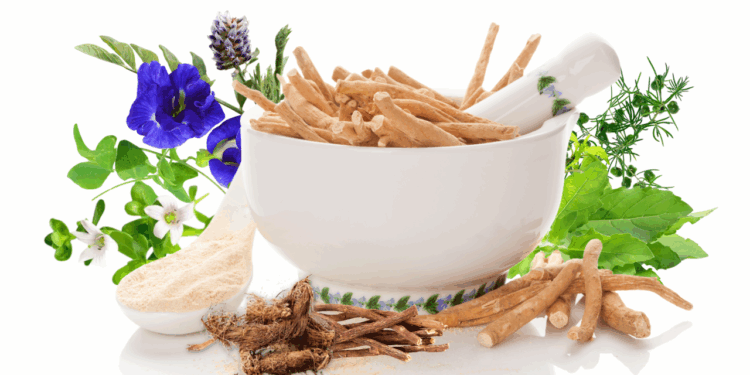 Autism Natural Treatment