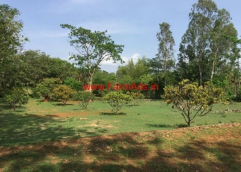 Diferent Types of Land Use