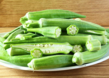 Botanical Name for Okra