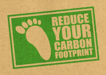 How to Reduce Your Carbon Footprint