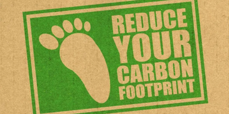How to Reduce Your Carbon Footprint
