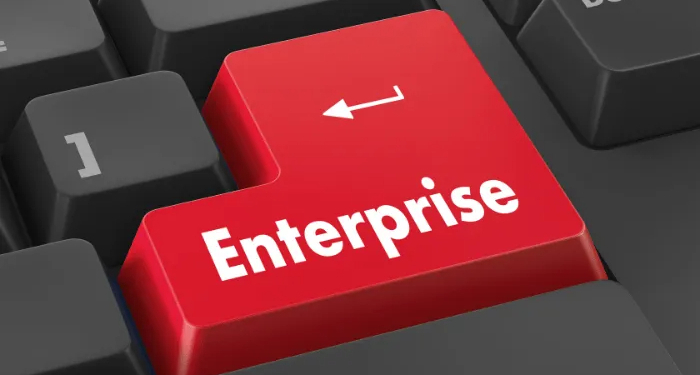 What is an Enterprise