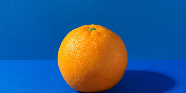 What is the Botanical Name for Orange