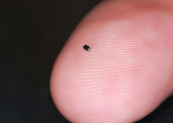 What is the Smallest Thing in the World?