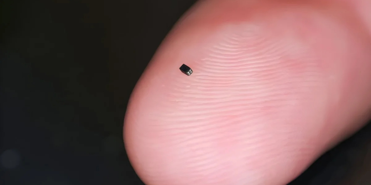 What is the Smallest Thing in the World?