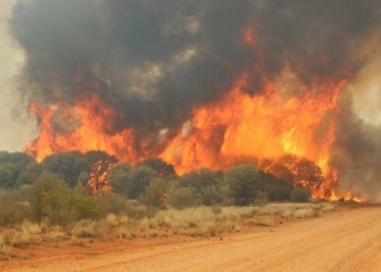 Effects of Bush Burning in Nigeria