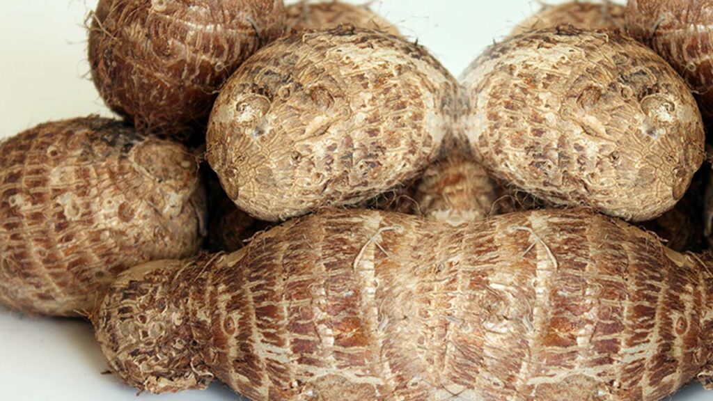 Cocoyam