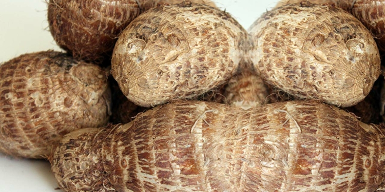 Cocoyam