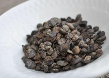 Incredible Health Benefits of Locust Beans