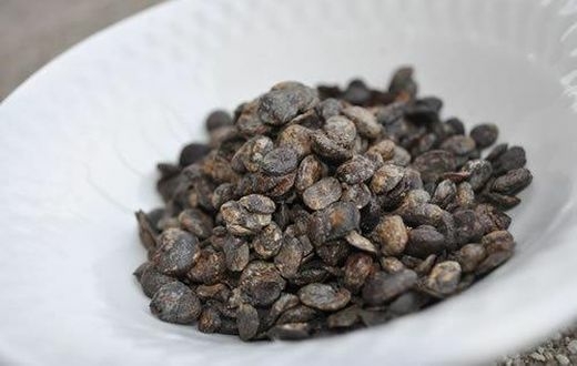 Incredible Health Benefits of Locust Beans