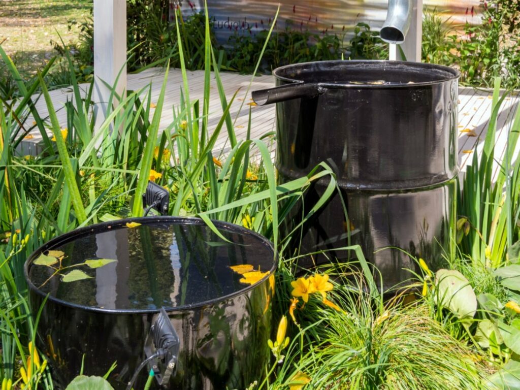 How to Harvest Rainwater for Your Garden