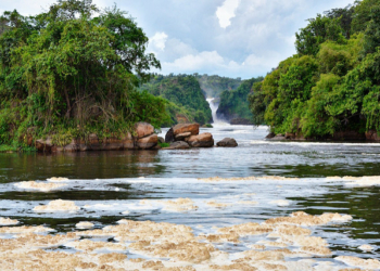 What is the Longest River in Nigeria