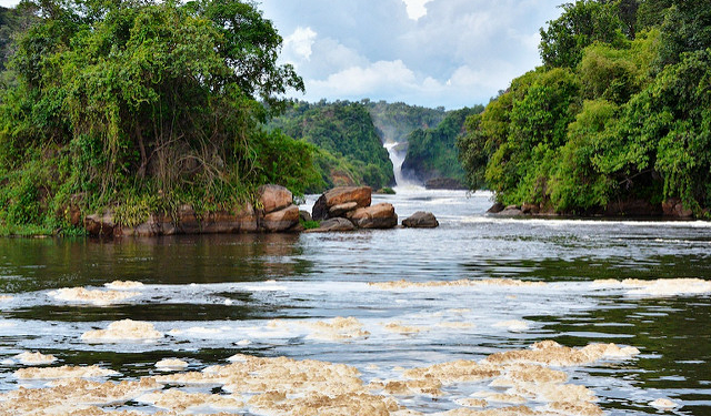 What is the Longest River in Nigeria