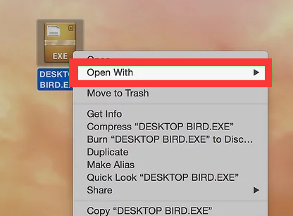 How to Run EXE Files on a Mac