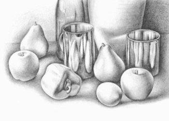 Still Life Drawings