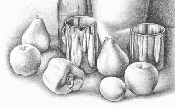 Still Life Drawings