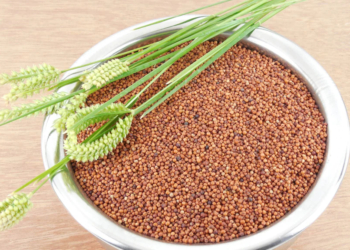 Benefits and Side Effects of Finger Millet (Ragi)