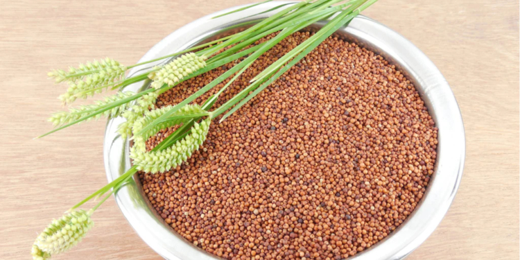 Benefits and Side Effects of Finger Millet (Ragi)