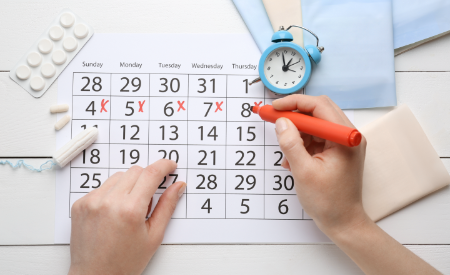How to Calculate Your Menstrual Cycle?