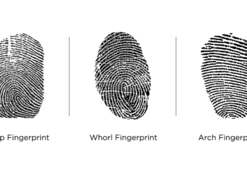Different Types of Fingerprints