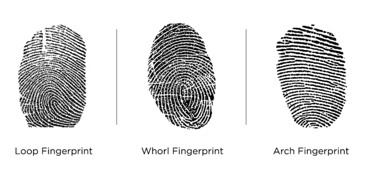 Different Types of Fingerprints