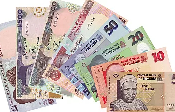 Nigeria Money