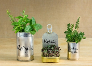 Creative Ways to Repurpose Empty Containers