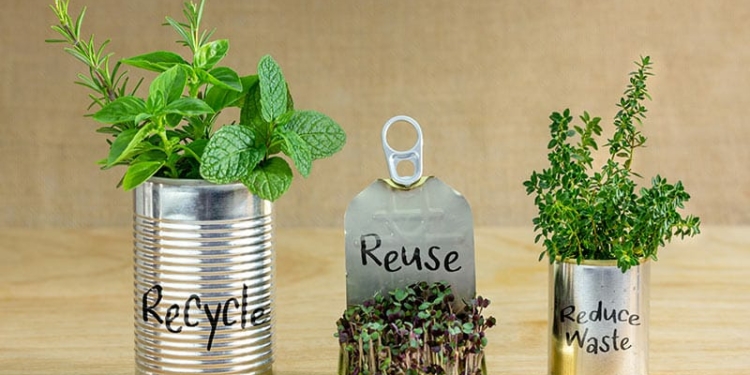 Creative Ways to Repurpose Empty Containers