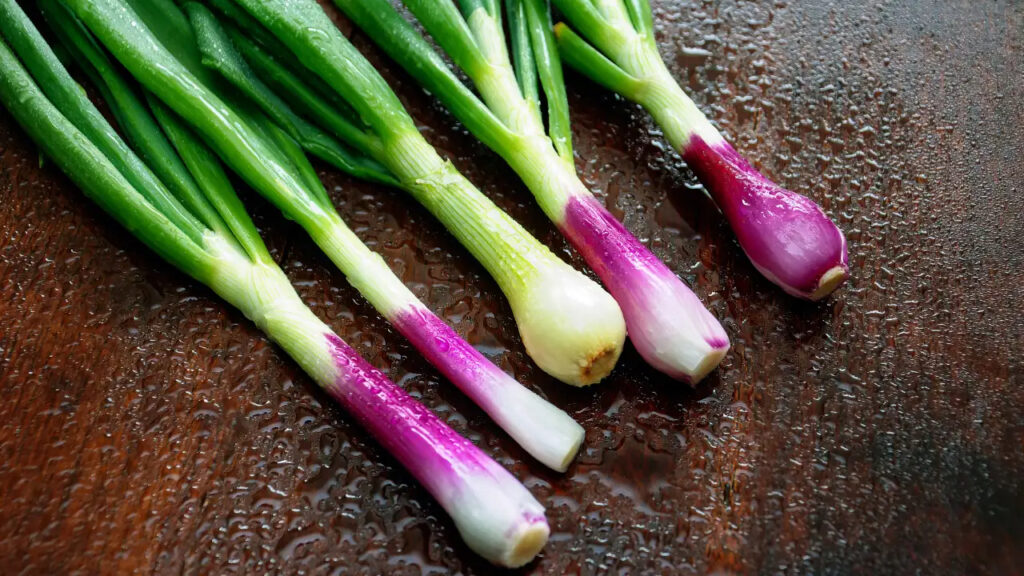 Surprising Health Benefits of Spring Onions
