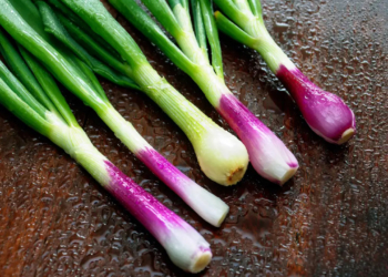 Surprising Health Benefits of Spring Onions