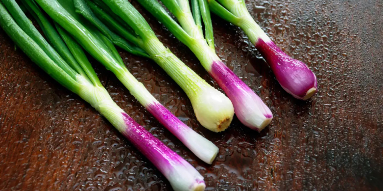 Surprising Health Benefits of Spring Onions