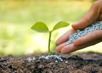 What is NPK Fertilizer?