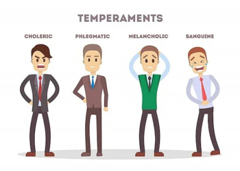 What is a Sanguine Temperament?