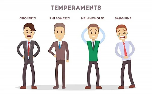 What is a Sanguine Temperament?