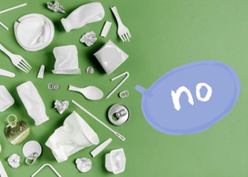 Why We Need to Ban Single-Use Plastics